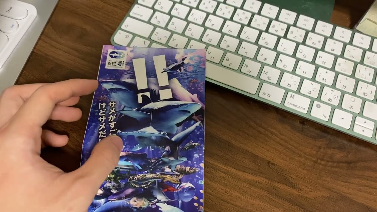 【572日目】主に水族館の感想 2026年2月23日(月)
