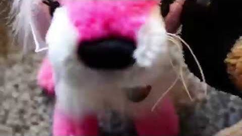 {♡Turn Up The Love♡} (extrame flash warning)