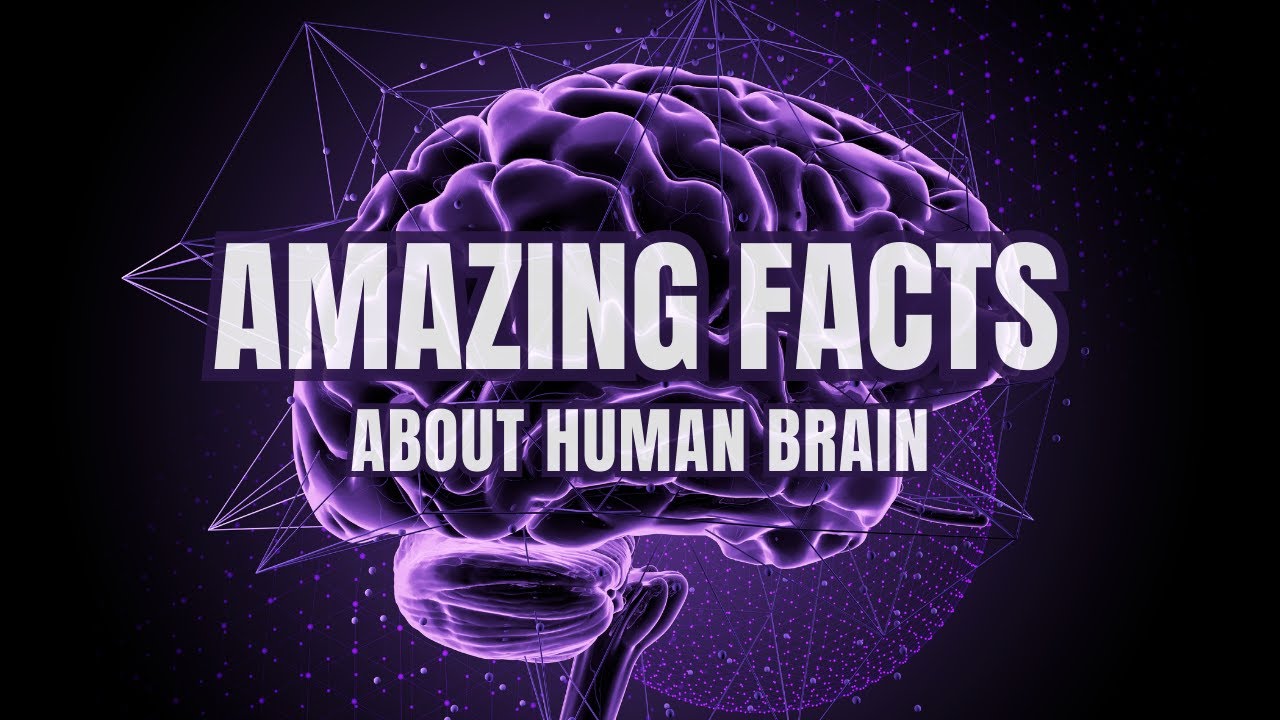 Human Brain Facts That Will BLOW Your Mind - YouTube