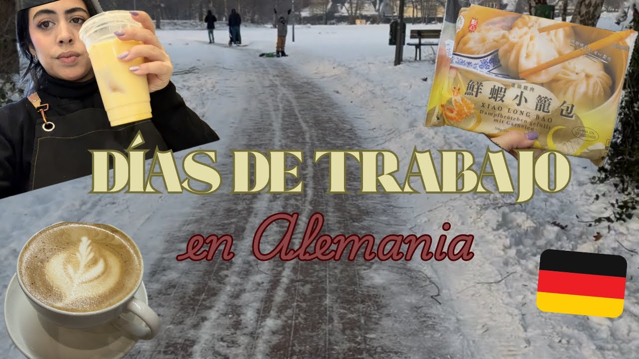 UNOS DÍAS CONMIGO, TRABAJANDO Y COMORAS EN TIENDA ASIÁTICA 🇩🇪