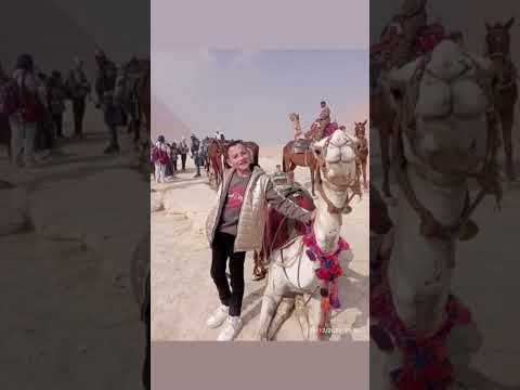 من طوب الارض بتحارب وانا قد الحرب ومحارب