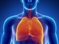 Understanding the Respiratory System
