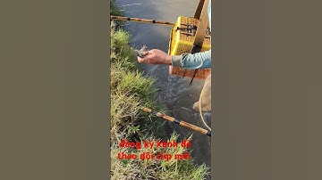 xiệt ếch đồng bơm nước chuẩn bị xạ lúa quá hay