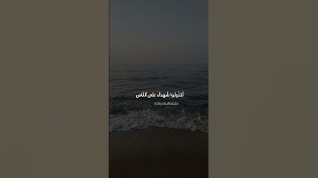 تلاوة بصوت المشاري العفاسي | سورة البقرة |الحزب ٣