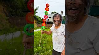 Download Lagu Little Brother Reveals His Funny#comedy cat shorts video😋😋 MP3