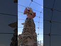 Basílica de la Sagrada Familia Barcelona