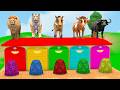 Long Slide Game with Colourful Duck Cow Tiger Gorilla Dog Elephant 3d Animal Game Funny 3d Animals