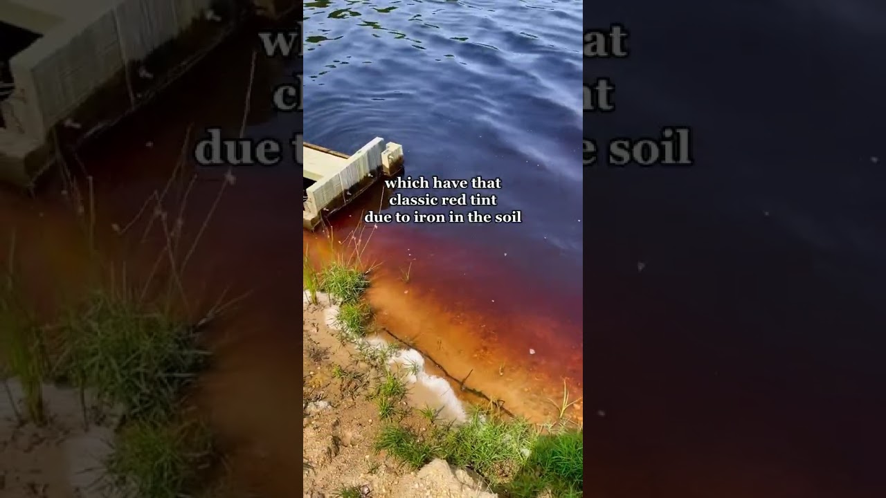 This massive forested reserve holds some of NJ’s most beautiful scenery. 😍 