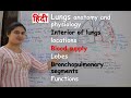 lungs anatomy & physiology in hindi | interior of lungs | functions | blood supply | lobes