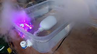 Humidifier for Incubator