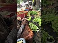 Banana Peeling skills #skills #handmade #shorts