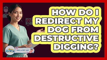 How Do I Redirect My Dog From Destructive Digging?
