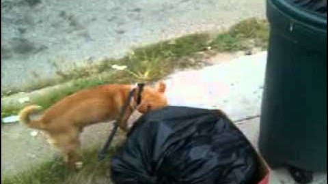 Htc hero cdma 2.2 froyo test camera