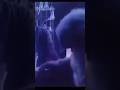 Star Wars Cantina PSA #shorts #starwars #psa #funny #shortvideo #80s #70s #crime