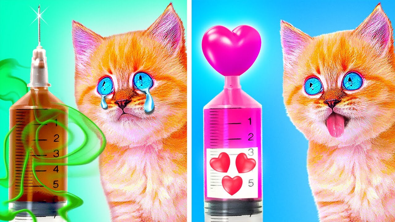 I Rescued Tiny Kitten 😿 *Best Gadgets For Pet Owners*