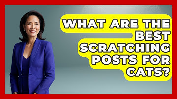 What Are the Best Scratching Posts for Cats? | Happy Cat Handbook