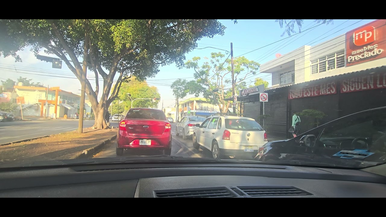 Un paseo por ahí #7