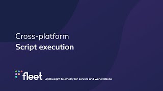 Introducing cross-platform script execution