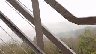 06.02.2021 - Maiengrün - Turm - Hägglingen - (AG) - Schweiz