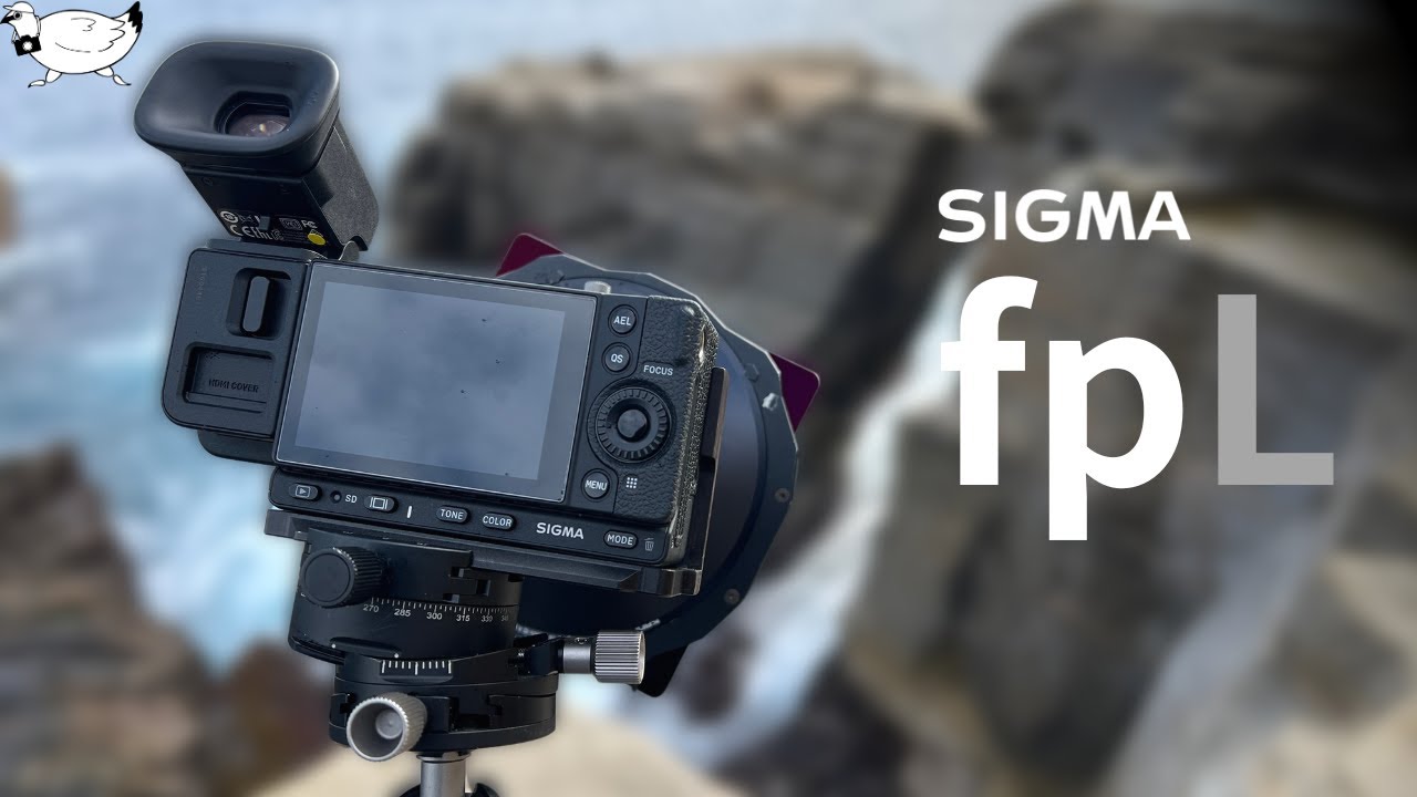 【写真】SIGMA fp Lで撮影した写真（Photographs taken at SIGMA fp L）