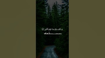 مقطع رائع من سورة القمر/ الشيخ محمد صديق المنشاوي رحمه الله
