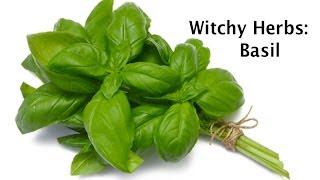 Welcome to the new segment on spiritual maiden called "witchy herbs".
this video covers magical attributes of basil, as well medicinal uses.
b...