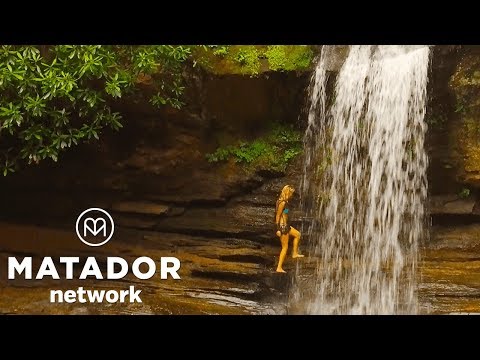 Video: 13 Nádherných Obrázků Toho, Co Dává Zelenou 