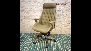 Profine Furniture | Ergonomic Office Chairs for Ultimate Comfort & Productivity!