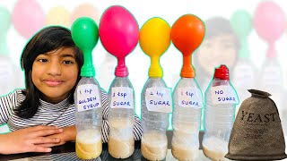 Easy DIY Science Experiment Blowing Up Balloons with Yeast!!!