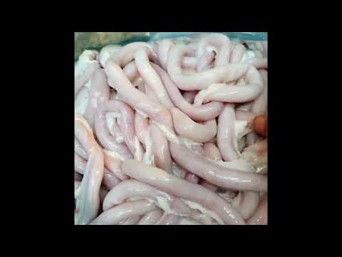 Video Cách luộc lòng se điếu đơn giản và ngon ! - youtube