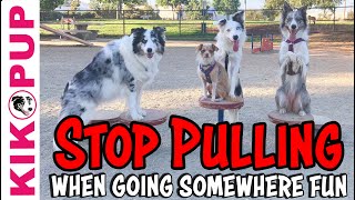 Train your dog to STOP PULLING toward places that are FUN