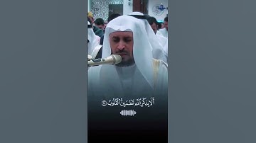 #تلاوة_رائعة #تلاوة_خاشعة #تلاوة_هادئة #تجويد #الغامدي #سعد_الغامدي #الجزائر #السعودية #مصر #الكويت
