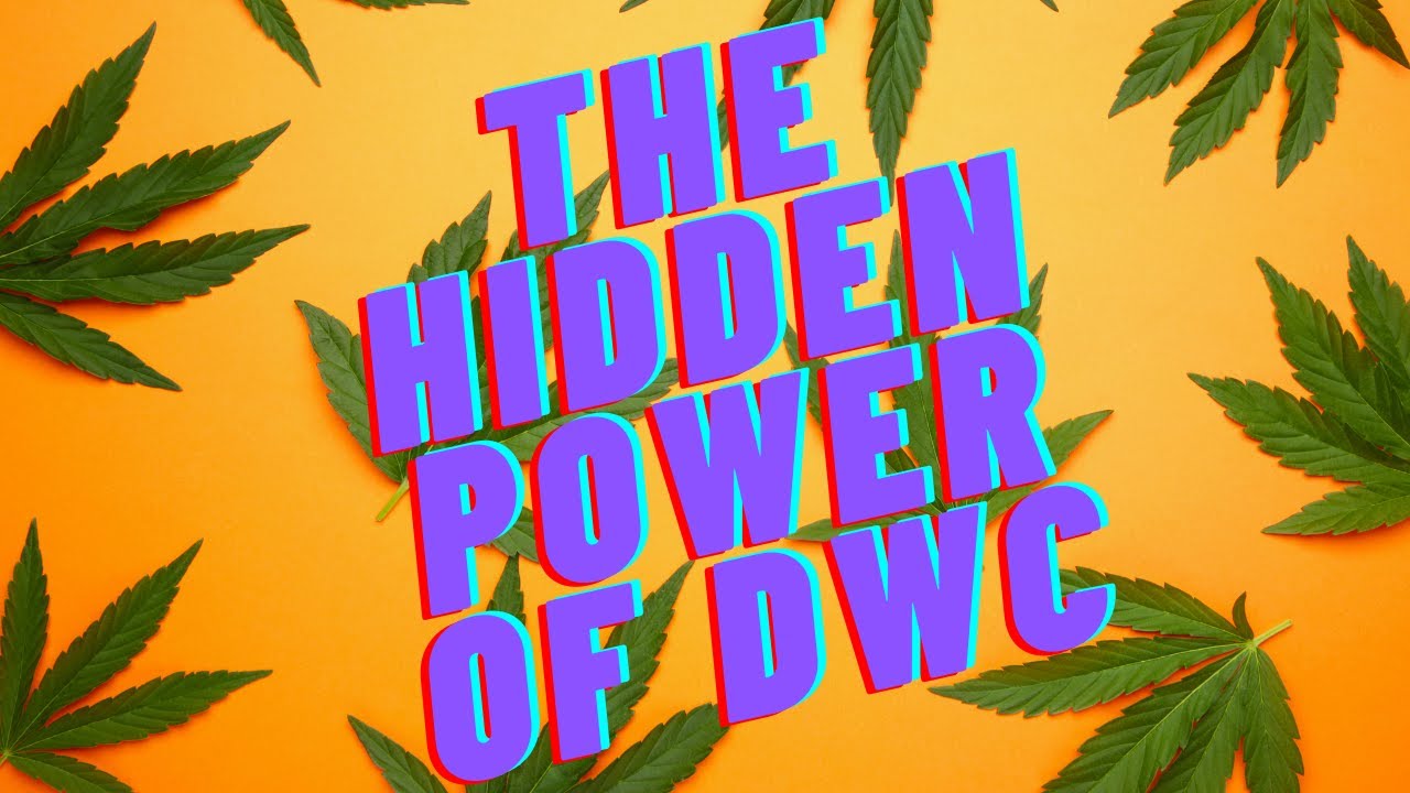 Uncover the Hidden Power of DWC for Epic Cannabis Growth!