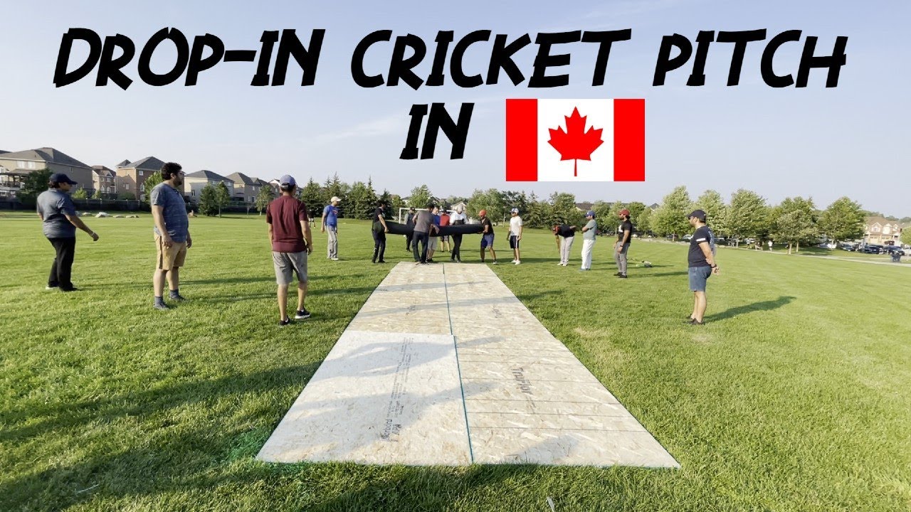 Created a DropIn Cricket 🏏 Pitch using Plywood 😱 in 🇨🇦 YouTube