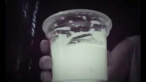 Como dissolver cola branca seca?