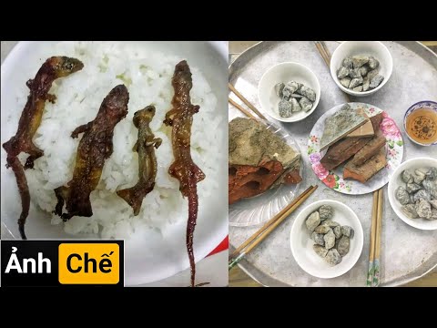 Video Những Hình Ảnh Hài Hước (P 26) Cơm Thời Kỳ Đồ Đá - youtube