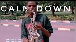 Rema - Calm down (saxophone cover) by festussax_asaikpe