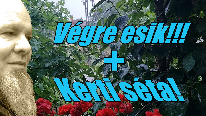 Végre megjött az eső és a kertben is szétnézünk!