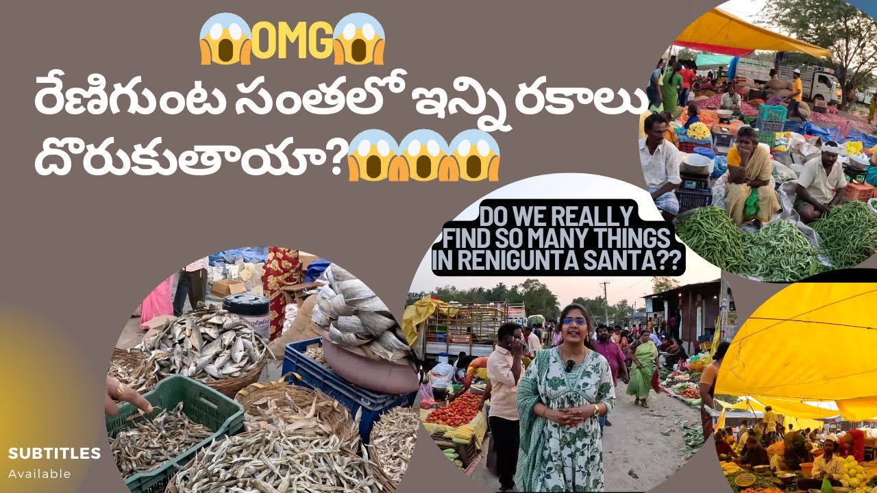 RENIGUNTA SANTA||రేణిగుంట సంత #renigunta #santa #market #localvendors #streetvendor RENIGUNTA SANTHA