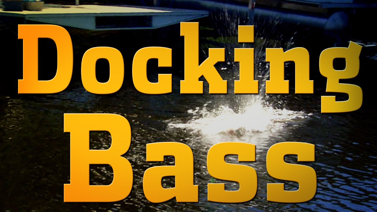 Docking Bass YouTube