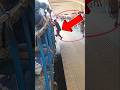 Why do people do this? Absolutely shocking! 🤯#shorts#railway #ViralMoment #Shocking #Daredevil