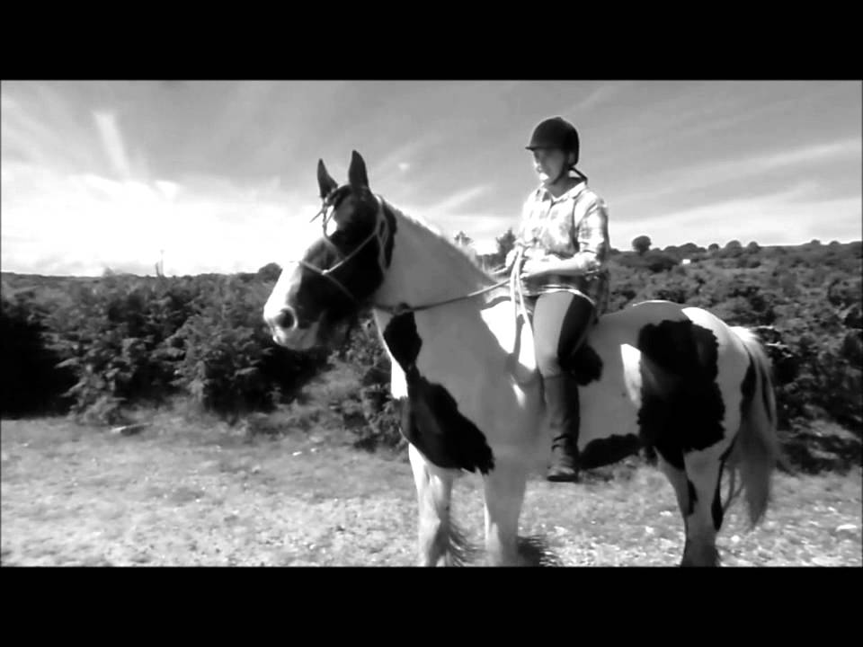 jumping a car Myrna | Don't give up on me