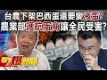 台農下架巴西蛋還要變「液蛋」？ 農業部護航蛋商讓全民受害？！-黃暐瀚 鍾沛君 張禹宣 張斯綱 單厚之 徐俊相《57爆新聞》精選篇 網路獨播版-2100-5