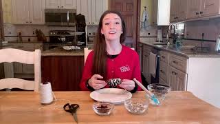 DIY Birdfeeder with Carnegie Science Center