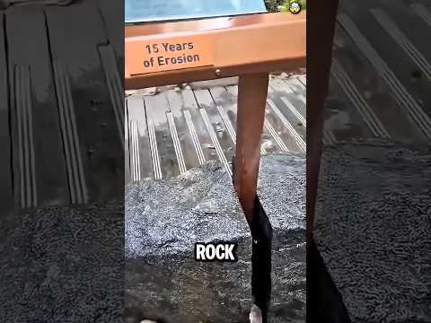 A Drop Of Water That Changes Everything 