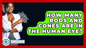 How Many Rods And Cones Are In The Human Eye? - Optometry Knowledge Base