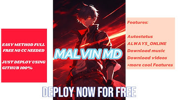 How to Create Your Own WhatsApp Bot