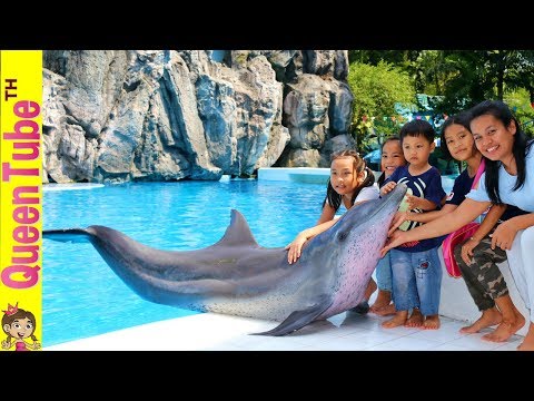 วีดีโอ: คู่มือนักท่องเที่ยวสวนสัตว์ควีนส์