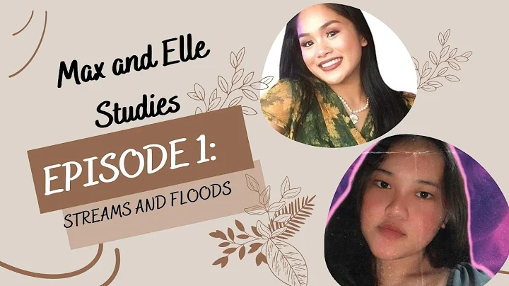 STREAMS AND FLOODS   PILOTA&RAYNO