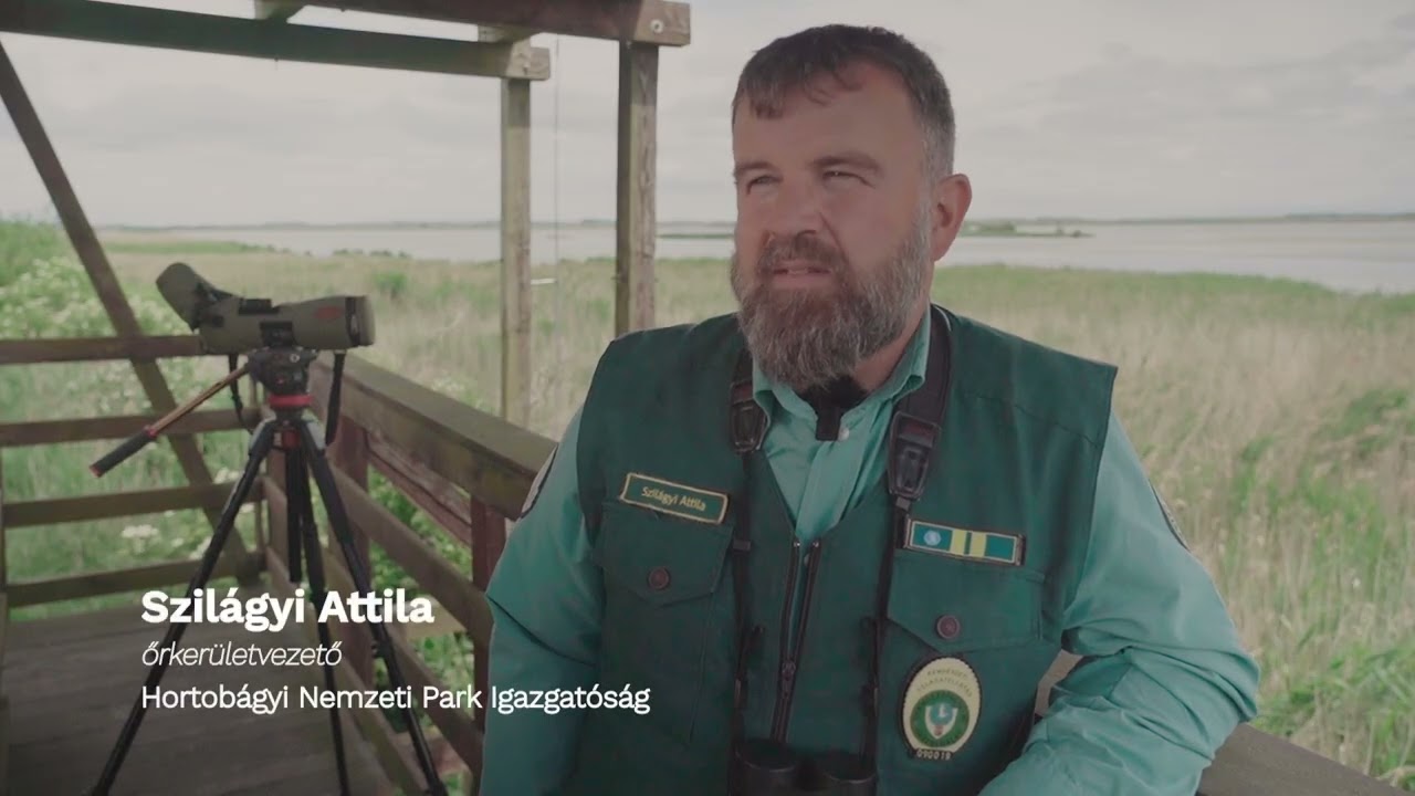 A hortobágyi madárszínház látványtervei